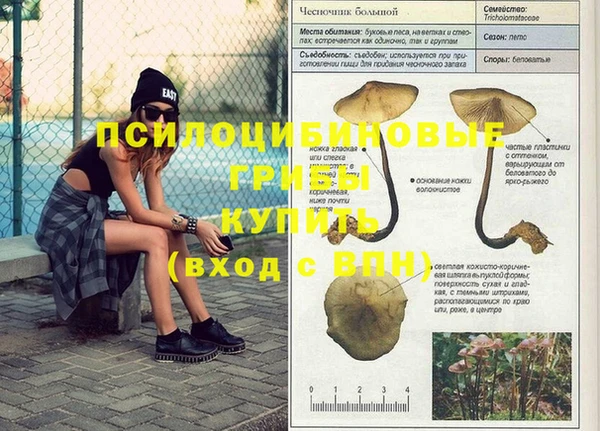 стафф Абаза